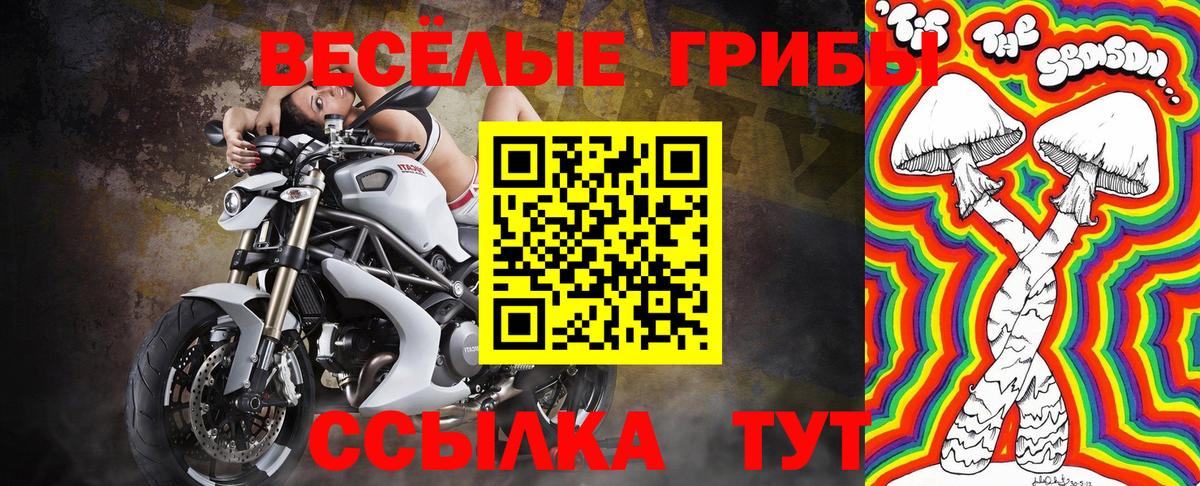 Псилоцибиновые грибы прущие грибы Орёл